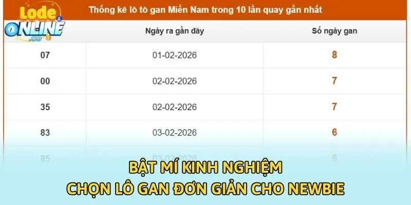 Bật mí kinh nghiệm chọn lô gan đơn giản cho newbie